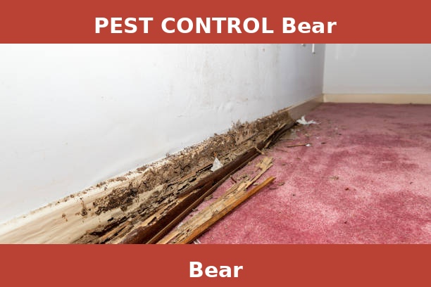 PEST CONTROL Bear